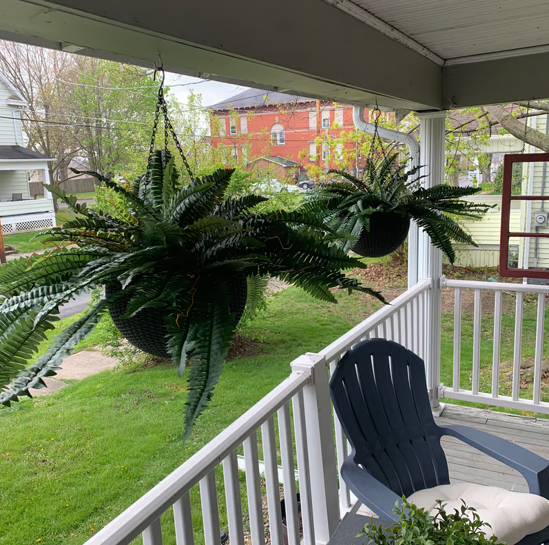 【𝐎𝐟𝐟𝐢𝐜𝐢𝐚𝐥 𝐔𝐒 𝐒𝐭𝐨𝐫𝐞】🏡🌿 𝐀𝐫𝐭𝐢𝐟𝐢𝐜𝐢𝐚𝐥 𝐁𝐨𝐬𝐭𝐨𝐧 𝐅𝐞𝐫𝐧 · 𝐔𝐕-𝐑𝐞𝐬𝐢𝐬𝐭𝐚𝐧𝐭 𝐋𝐢𝐟𝐞𝐥𝐢𝐤𝐞 𝐅𝐚𝐮𝐱 𝐏𝐥𝐚𝐧𝐭 · 🌱𝐅𝐮𝐥𝐥 & 𝐍𝐚𝐭𝐮𝐫𝐚𝐥 𝐆𝐫𝐞𝐞𝐧𝐞𝐫𝐲 𝐟𝐨𝐫 𝐈𝐧𝐝𝐨𝐨𝐫 & 𝐎𝐮𝐭𝐝𝐨𝐨𝐫 𝐃𝐞𝐜𝐨𝐫