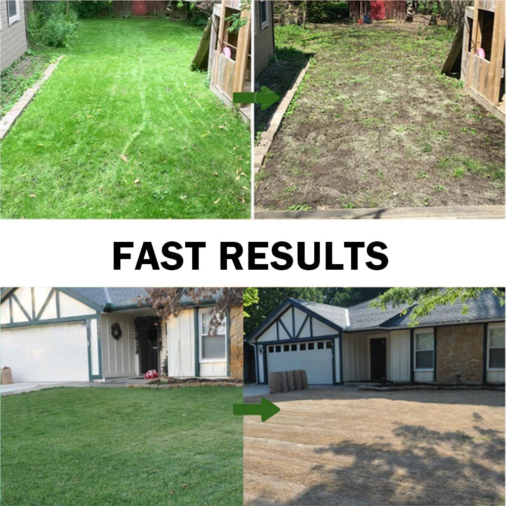 🏆Official Store | Limited Edition | DeeVoo® 𝟐 𝐢𝐧 𝟏 𝐌𝐚𝐱 𝐏𝐨𝐰𝐞𝐫 𝐇𝐞𝐫𝐛𝐢𝐜𝐢𝐝𝐞