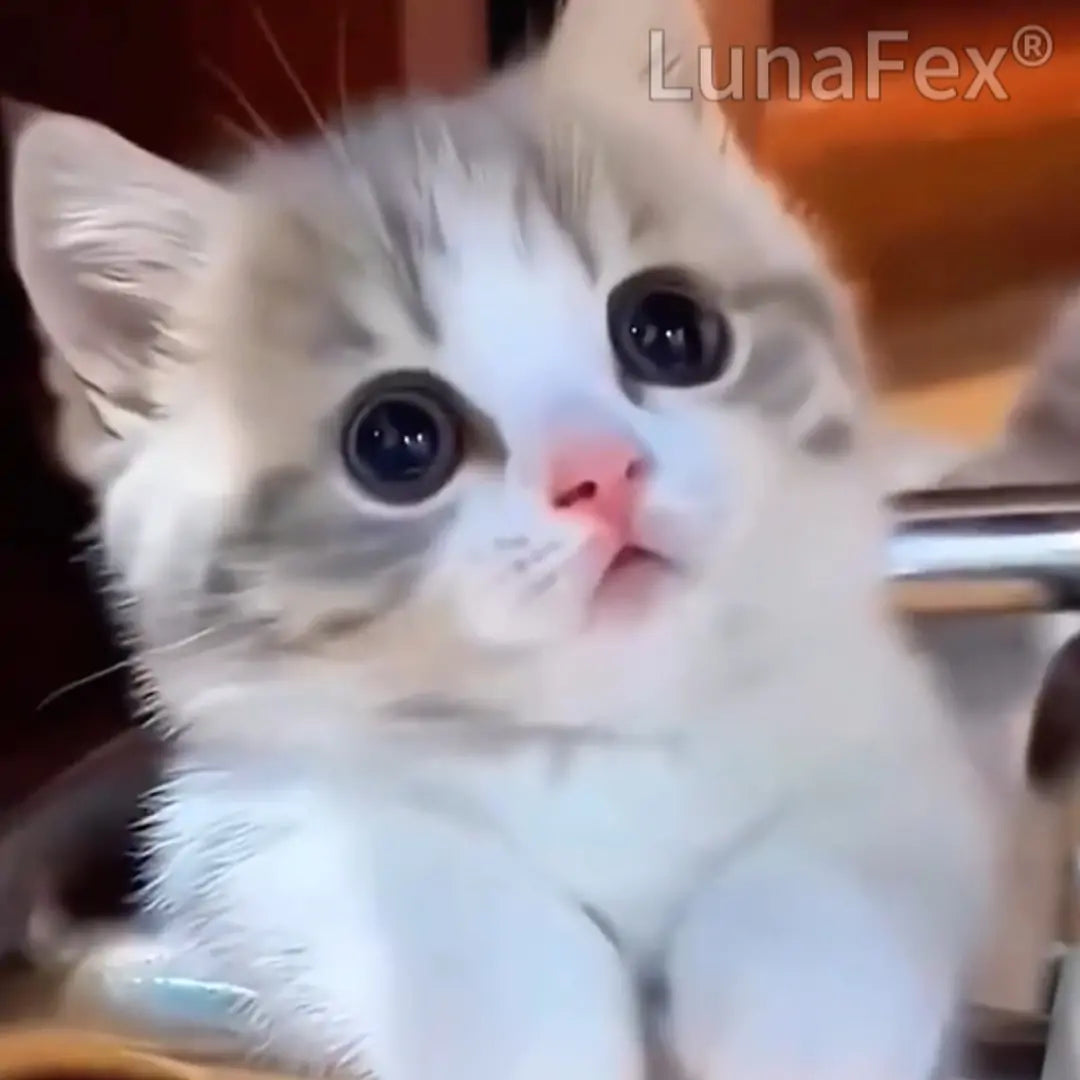 【OFFICIAL STORE】LunaFex® LUNA the Robot Cat 😺& TOBY the Robot Dog🐶 – Perfect Pet Duo for Kids & Family – Last Day for Sale!