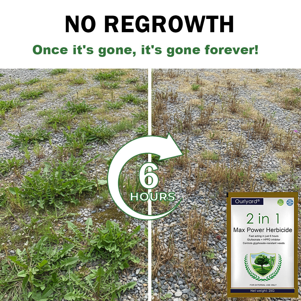 🏆Official Store | Limited Edition | DeeVoo® 𝟐 𝐢𝐧 𝟏 𝐌𝐚𝐱 𝐏𝐨𝐰𝐞𝐫 𝐇𝐞𝐫𝐛𝐢𝐜𝐢𝐝𝐞