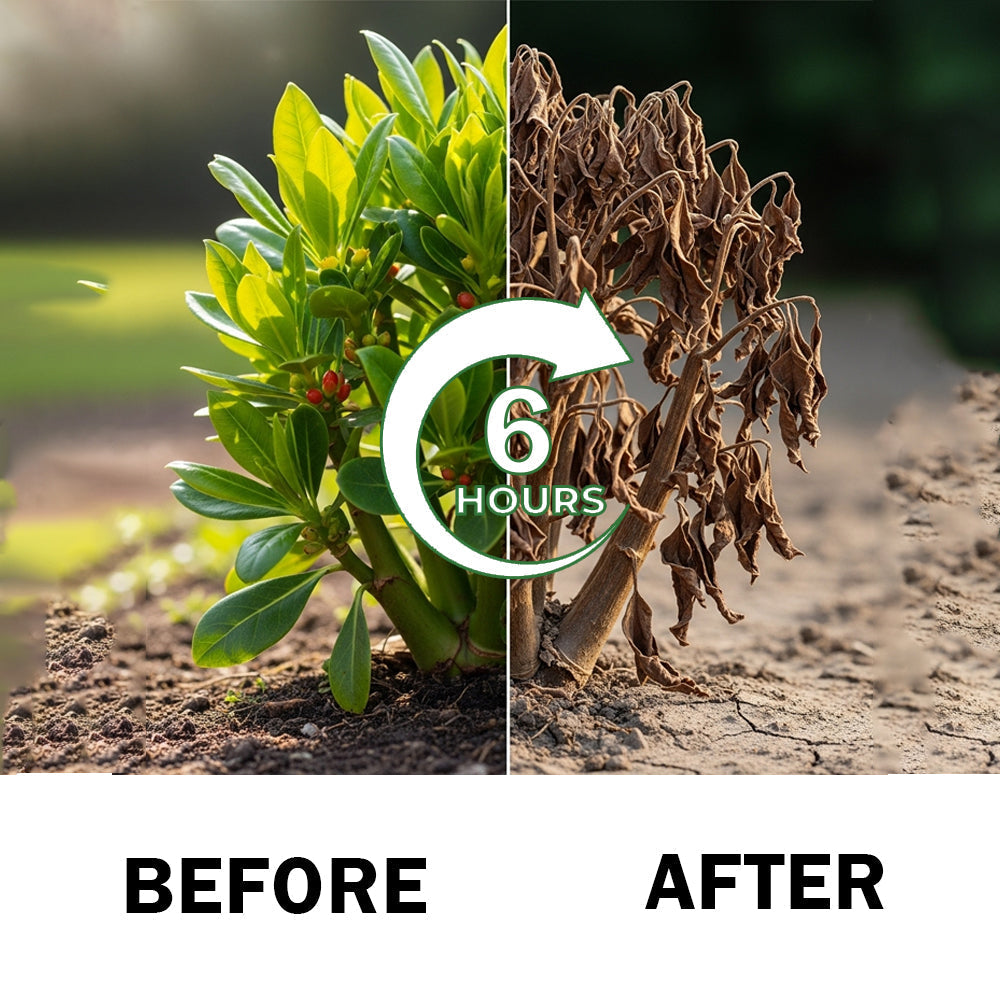 🏆Official Store | Limited Edition | DeeVoo® 𝟐 𝐢𝐧 𝟏 𝐌𝐚𝐱 𝐏𝐨𝐰𝐞𝐫 𝐇𝐞𝐫𝐛𝐢𝐜𝐢𝐝𝐞